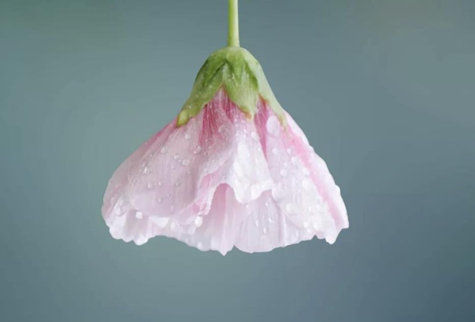 被丈母娘操控的婚姻,如何彻底发生了改变