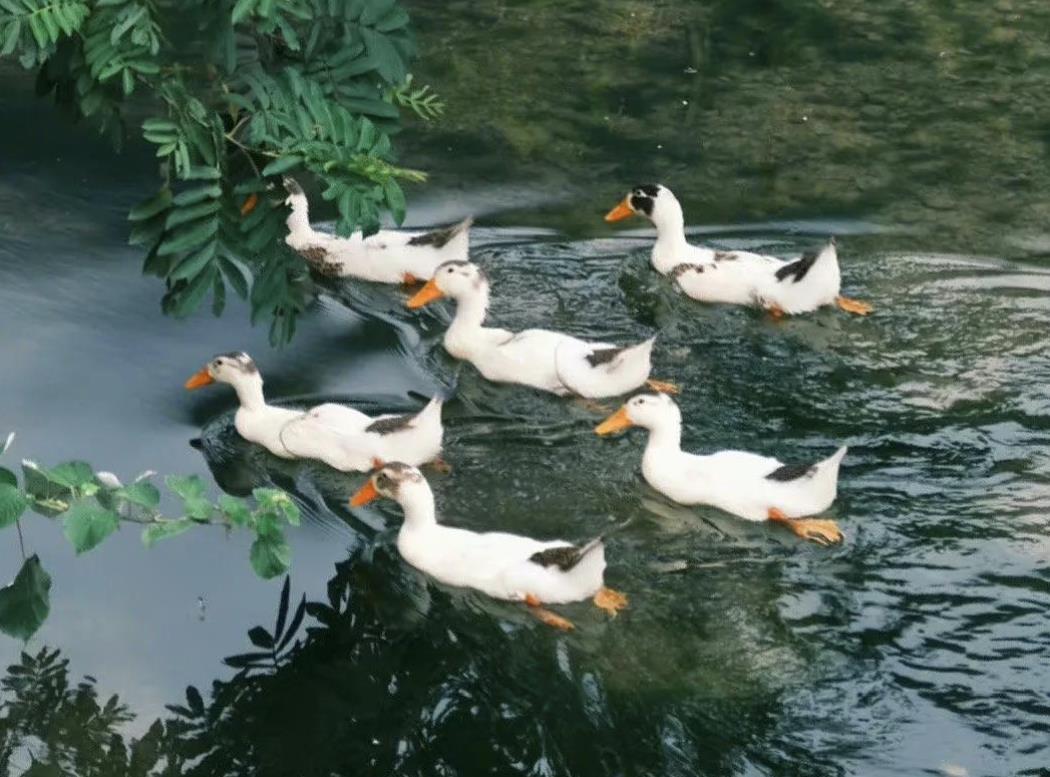 女生劈腿7大前兆，女人劈腿前兆是什么