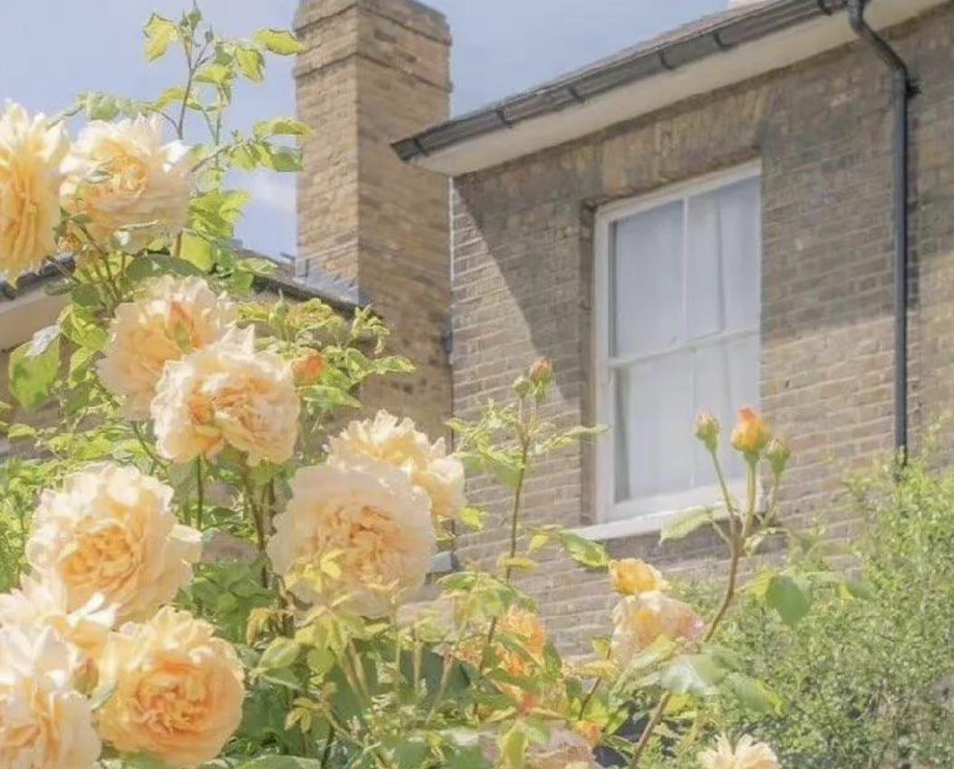 女生劈腿7大前兆，女人劈腿前兆是什么