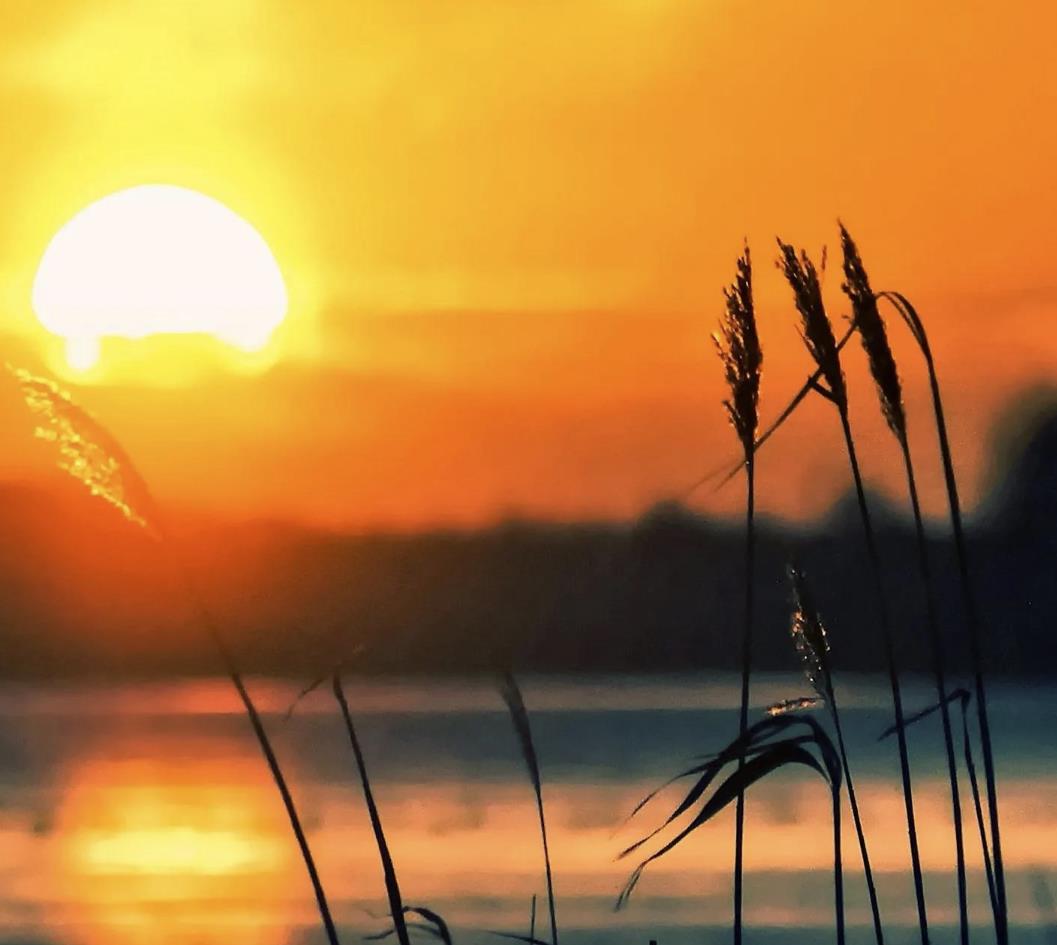 女生劈腿7大前兆，女人劈腿前兆是什么