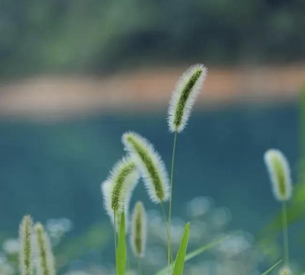 女生劈腿7大前兆，女人劈腿前兆是什么