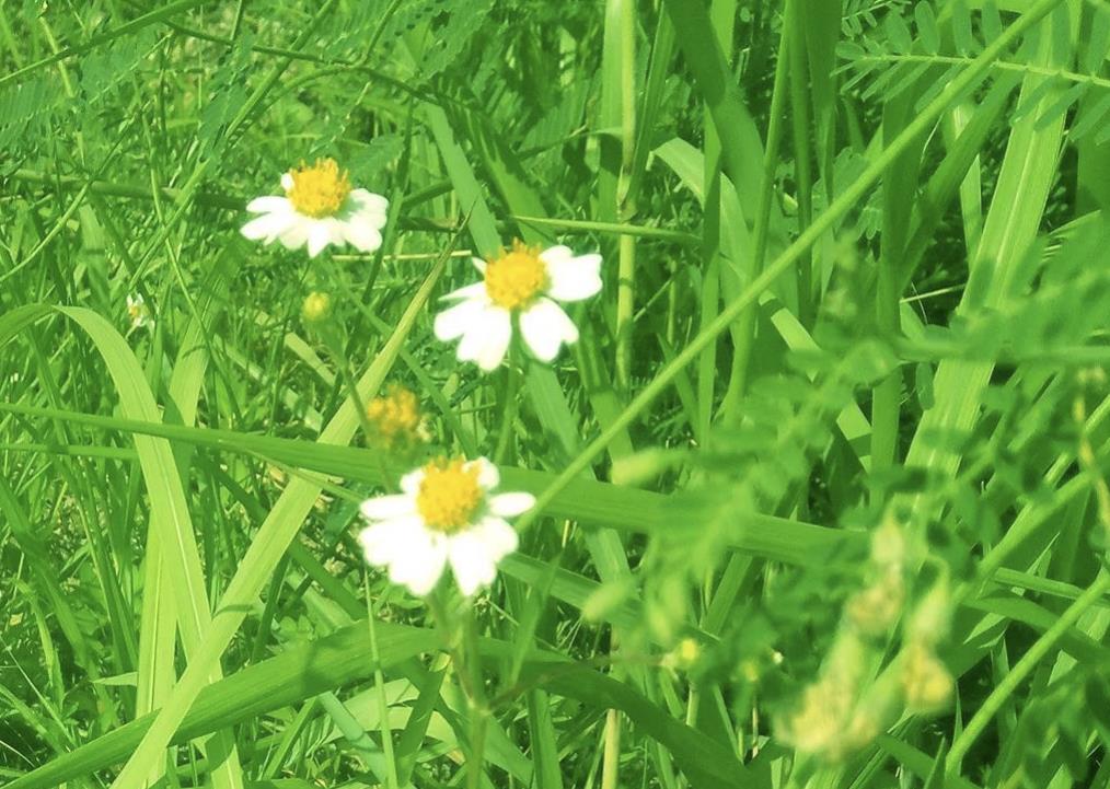 女生劈腿7大前兆，女人劈腿前兆是什么