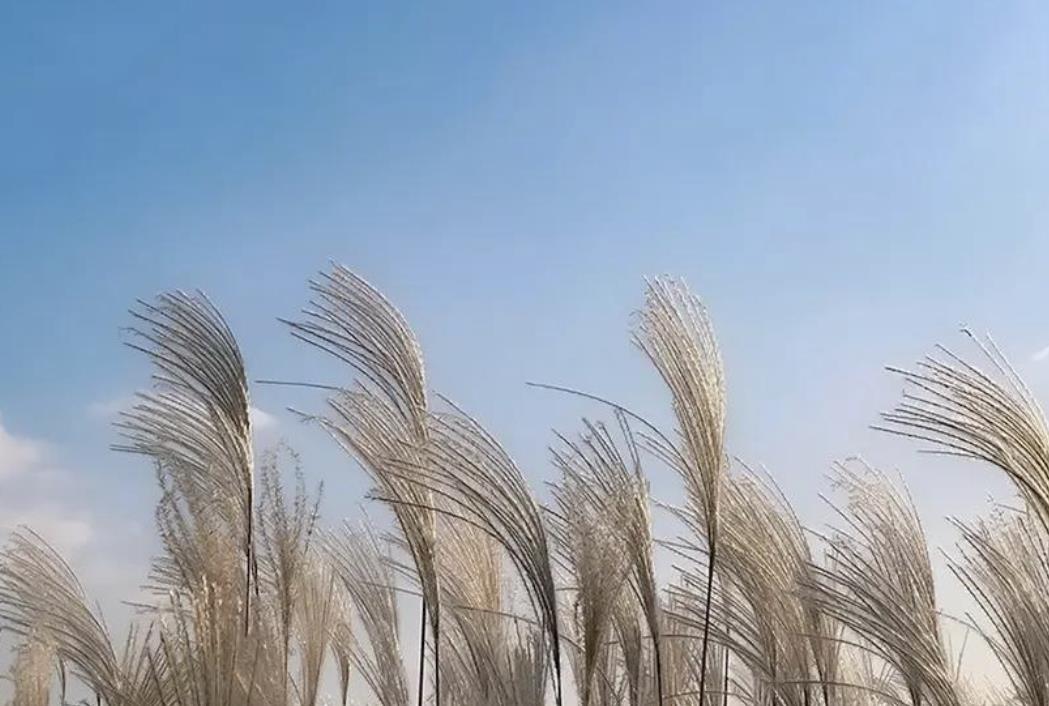 女生劈腿7大前兆，女人劈腿前兆是什么