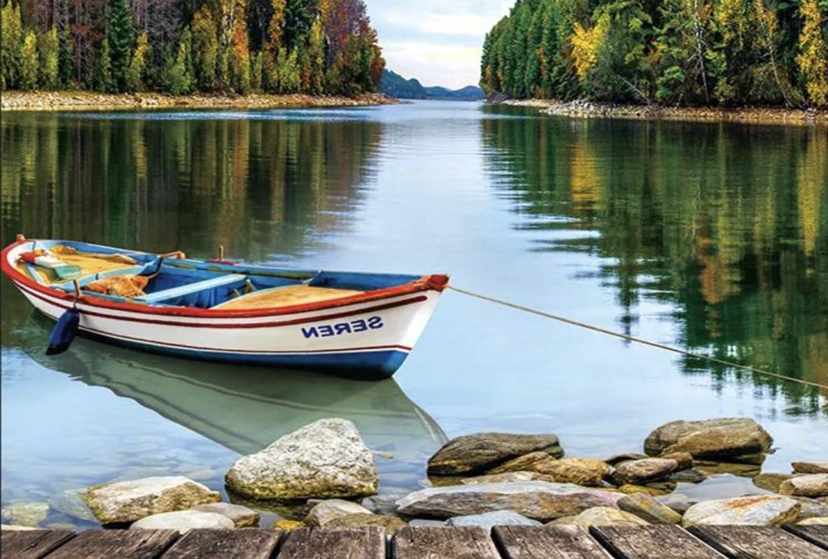 男性70岁还要找老伴吗