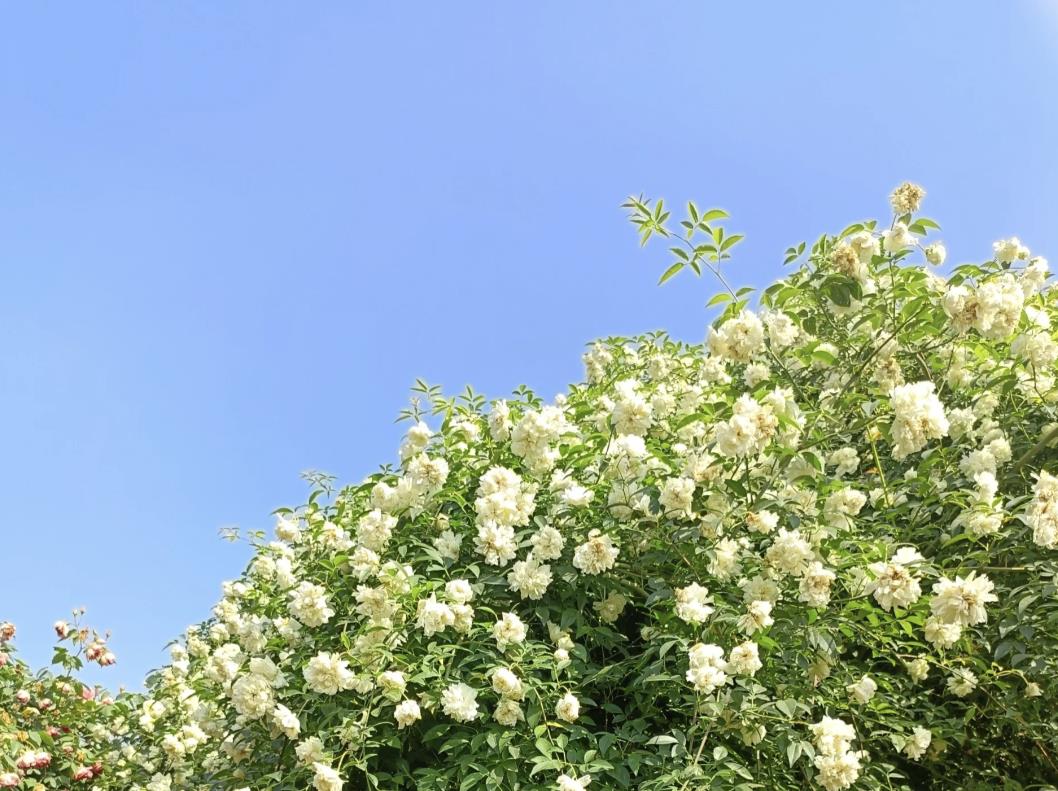 注定没姻缘的三大征兆