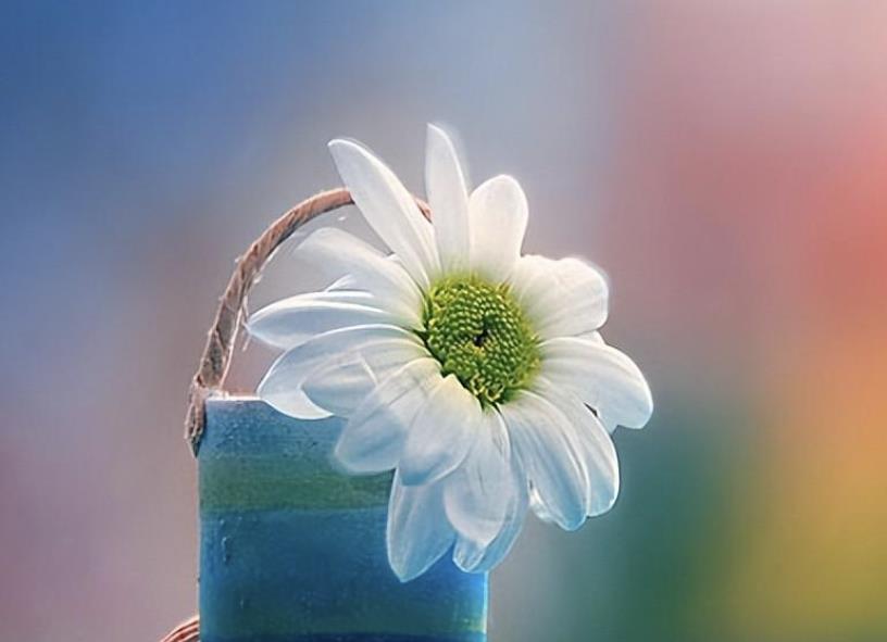 丧偶是老天的惩罚吗