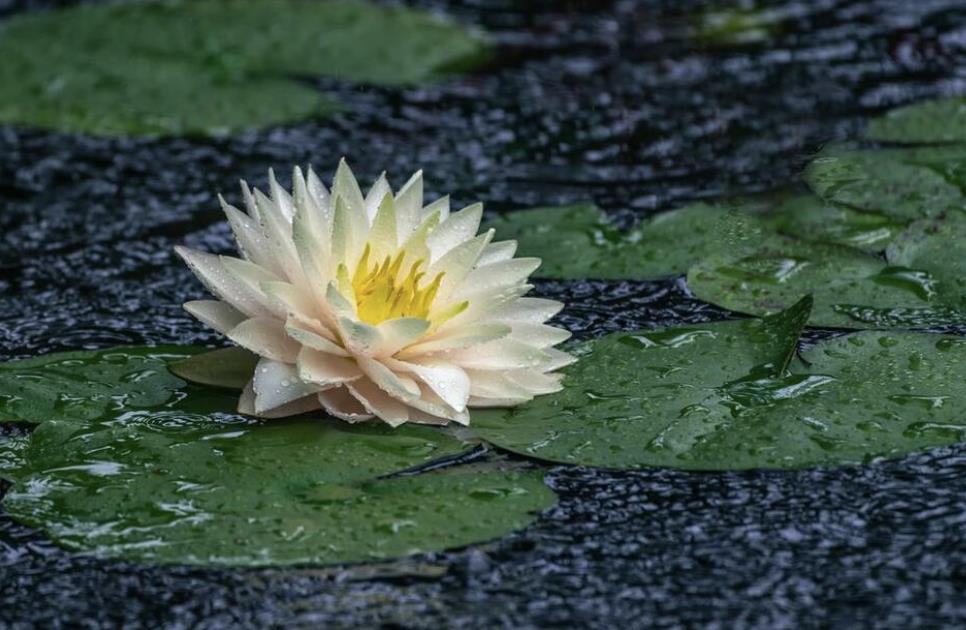 青春期母子相处的忌讳