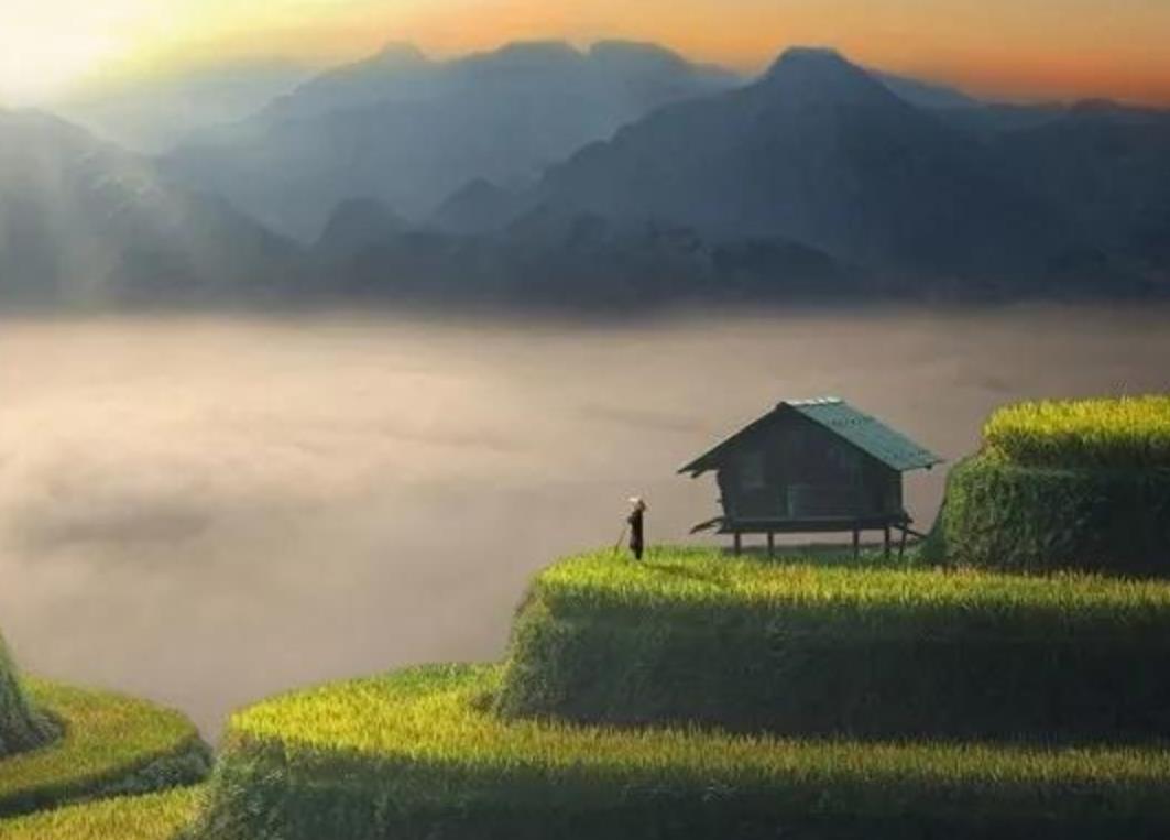 女人晚年守寡的征兆