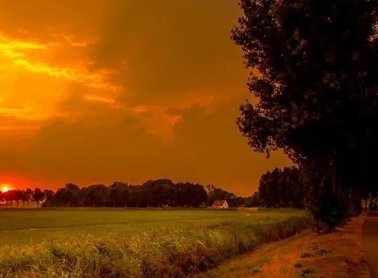 女人晚年守寡的征兆