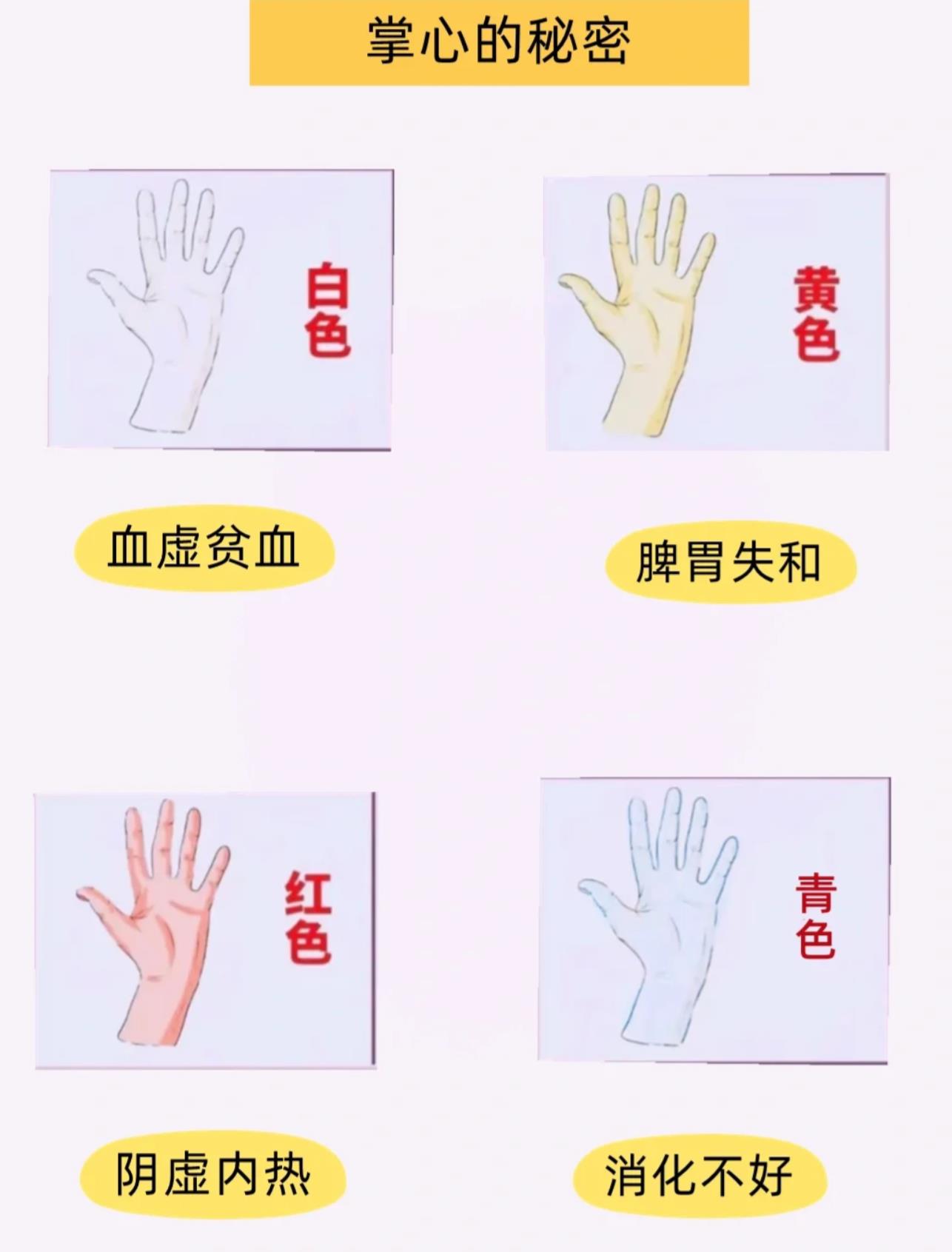 手心有窝的女人命运如何