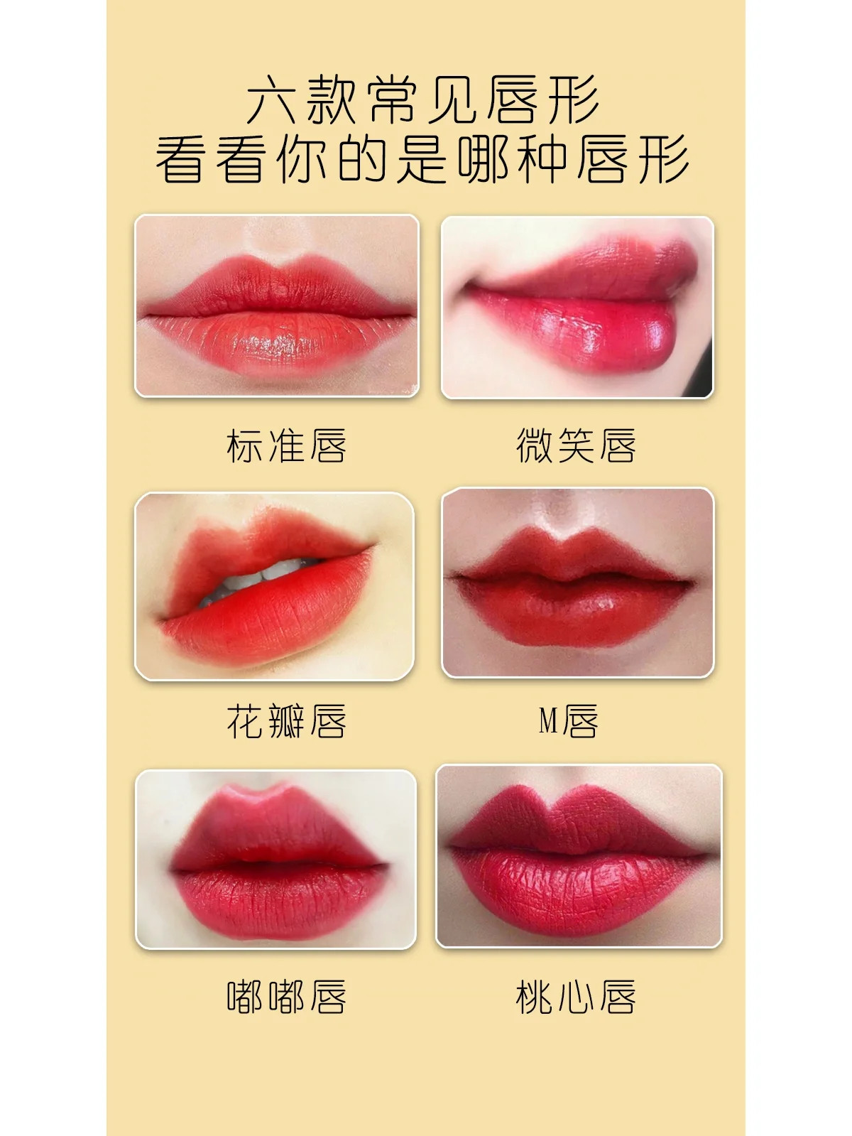 各种女性唇形图片对照表