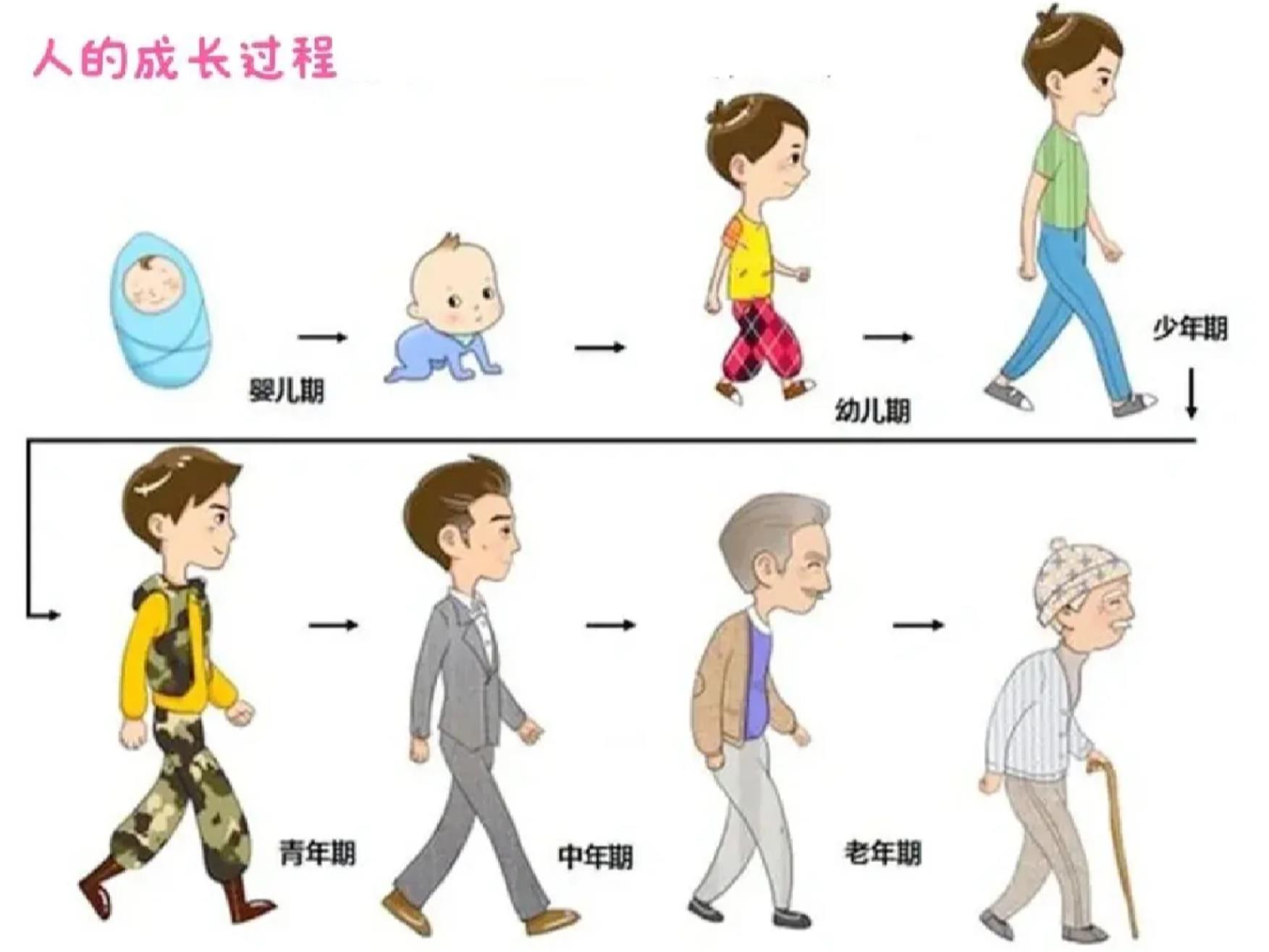 女人的一生变化图,一生成长过程图