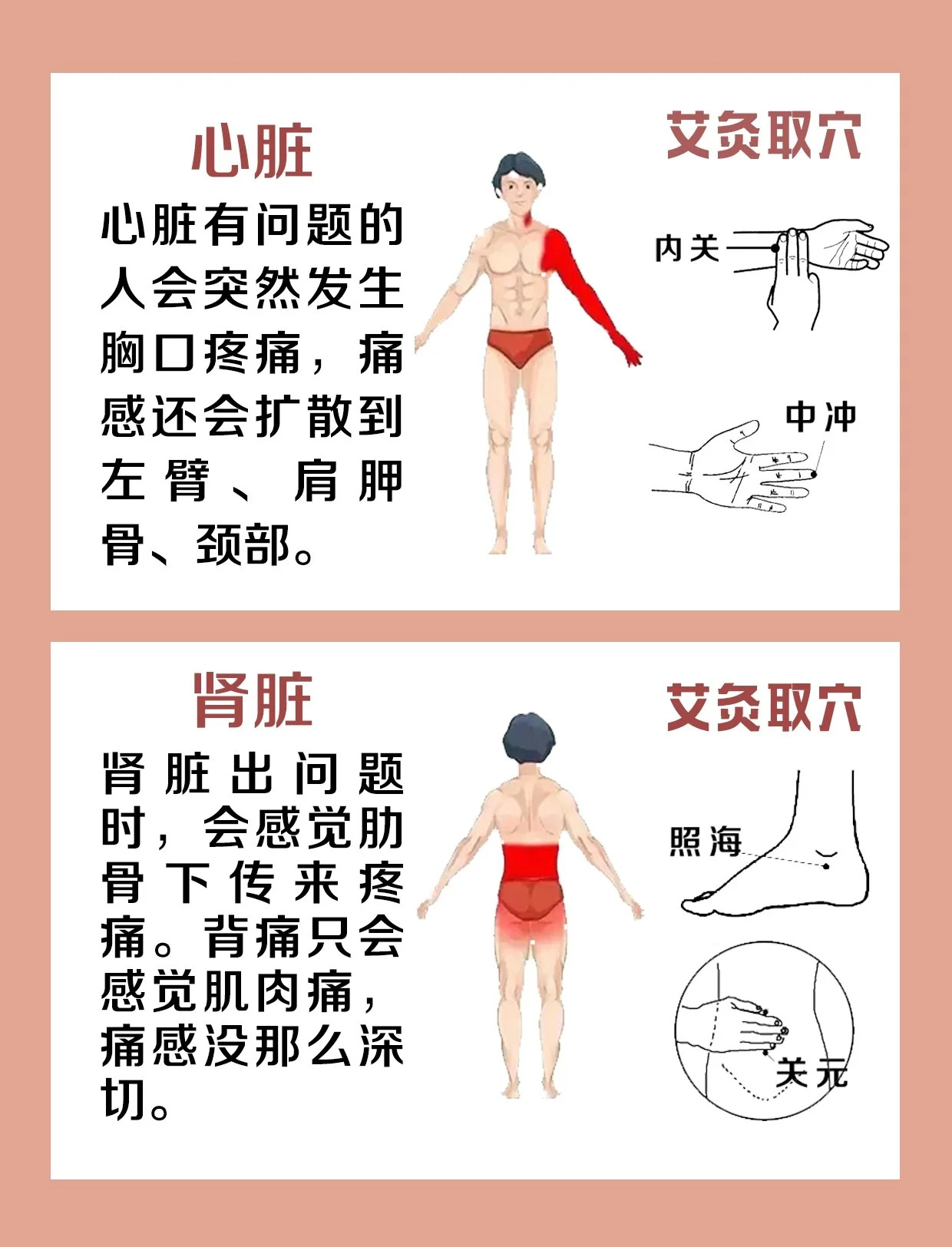 女性身体器官疼痛对照表