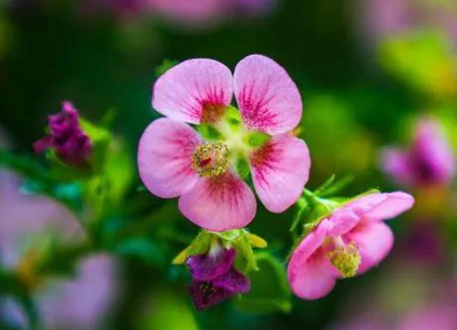 女性75岁还需要找伴吗