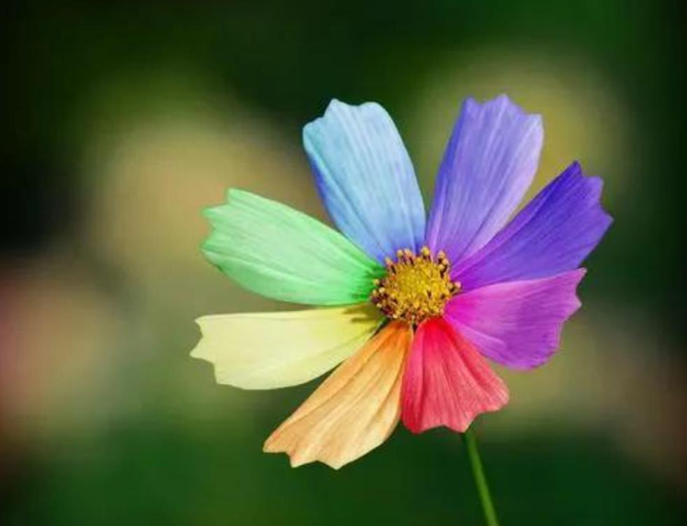 女性75岁还需要找伴吗