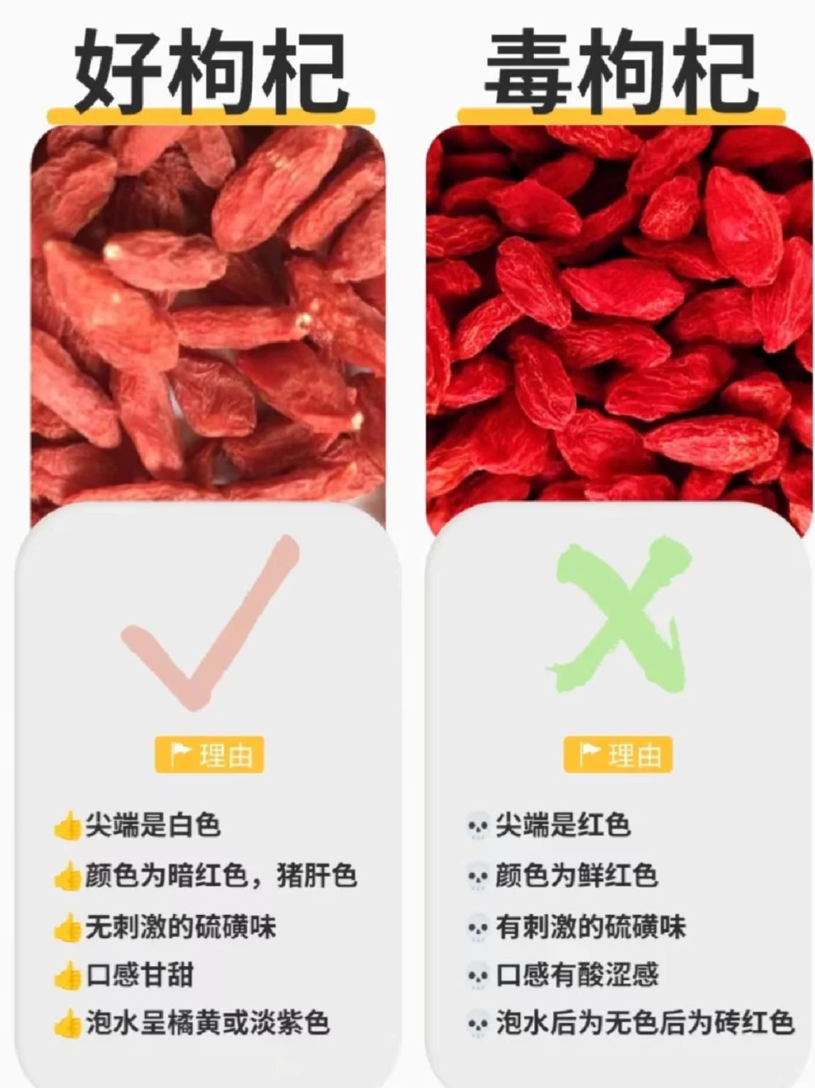 真假枸杞照片对照图片