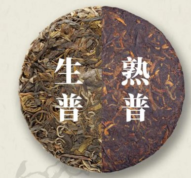 高嘌呤茶叶一览表