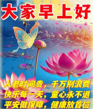 上午好高雅图片