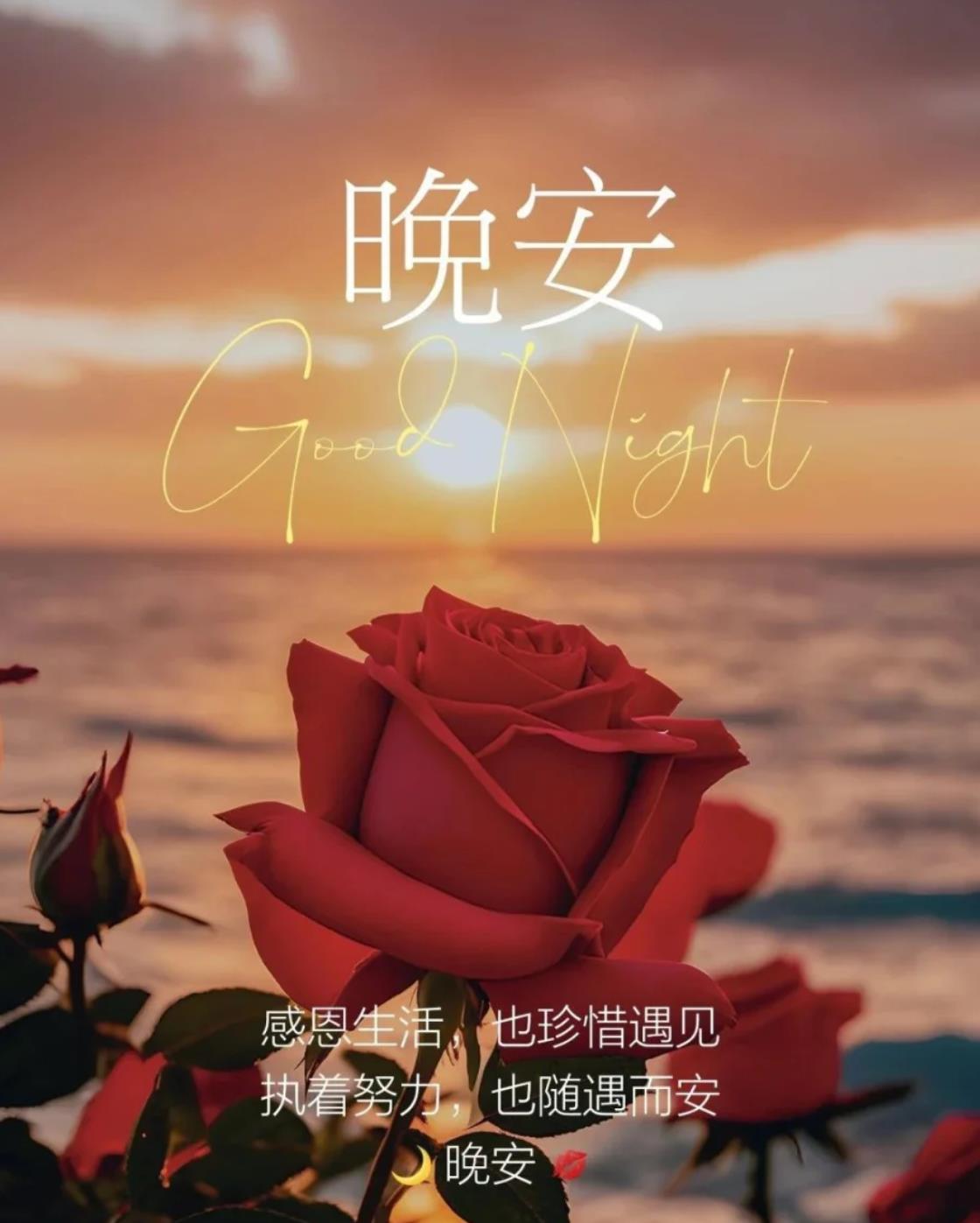 晚安最美图片