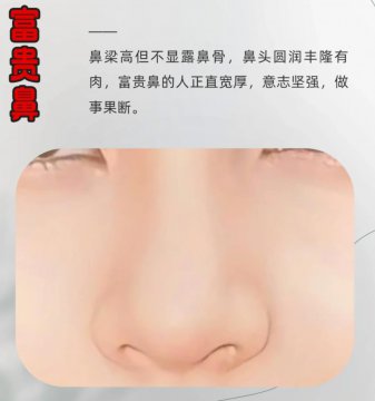 有财的鼻子图片