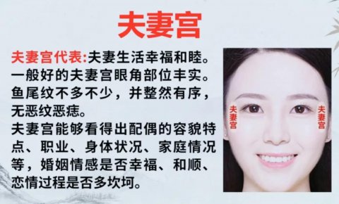 真正的夫妻宫图片