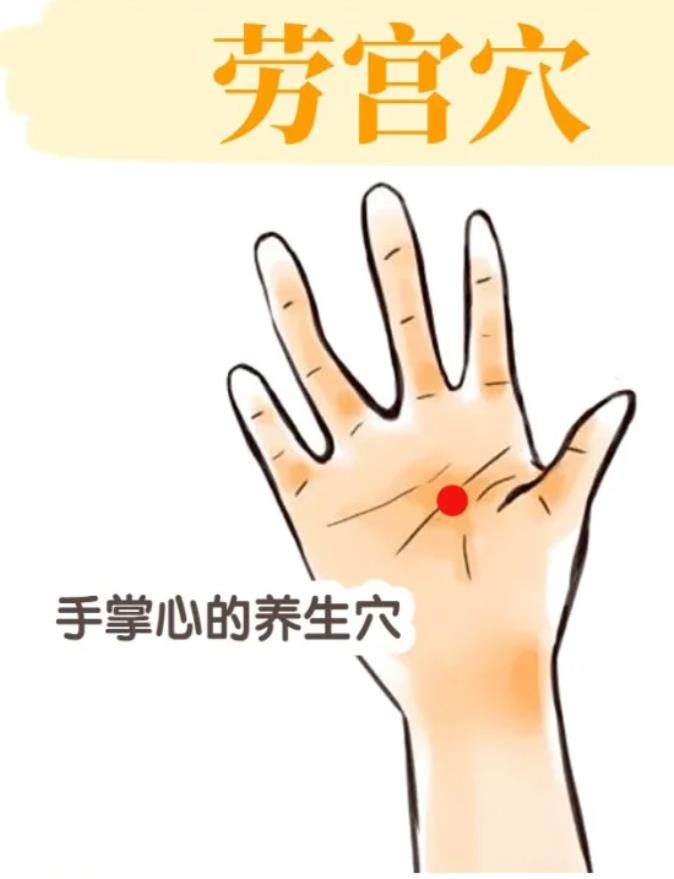 手上三个护肝的穴位图