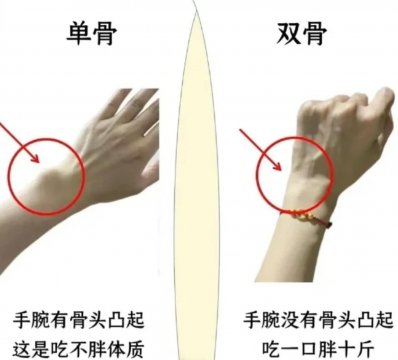 双骨手腕和单骨手腕对比图