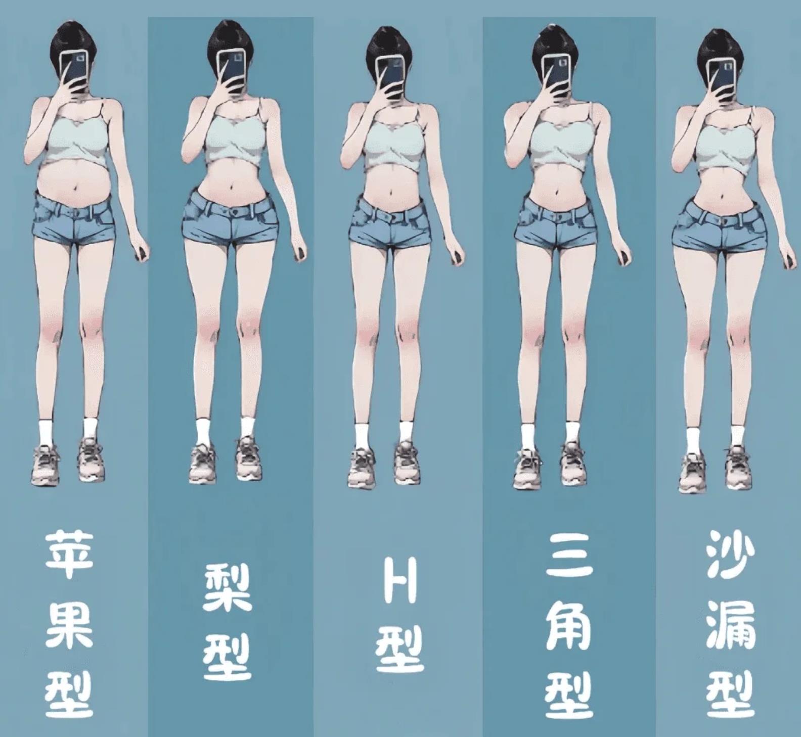 女生的12种体型图片
