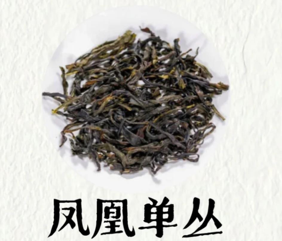 老枞水仙和凤凰单丛的区别