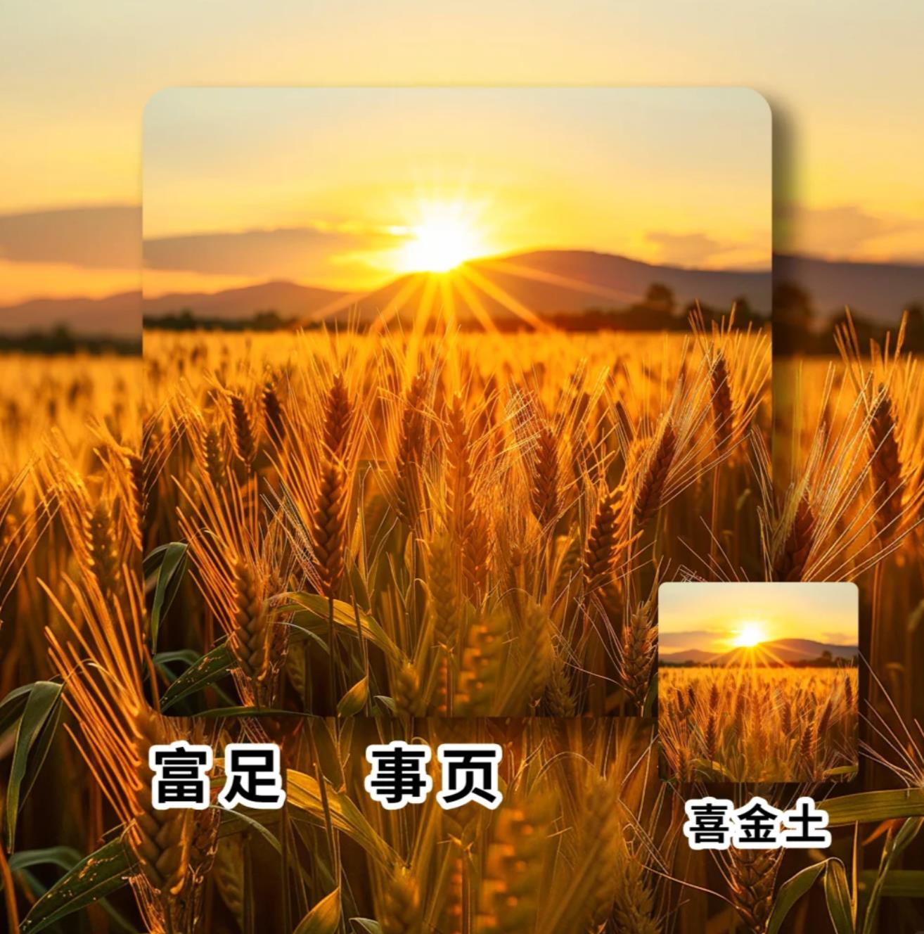 男人终身走好运的微信头像