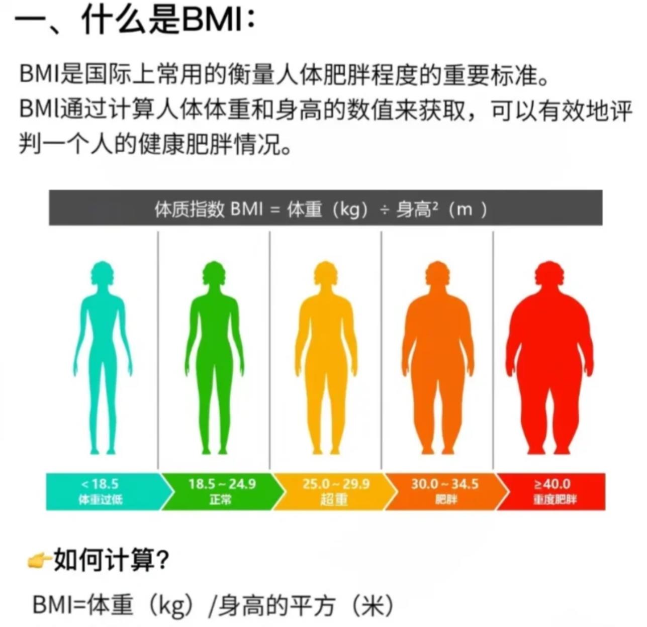 bmi是什么意思