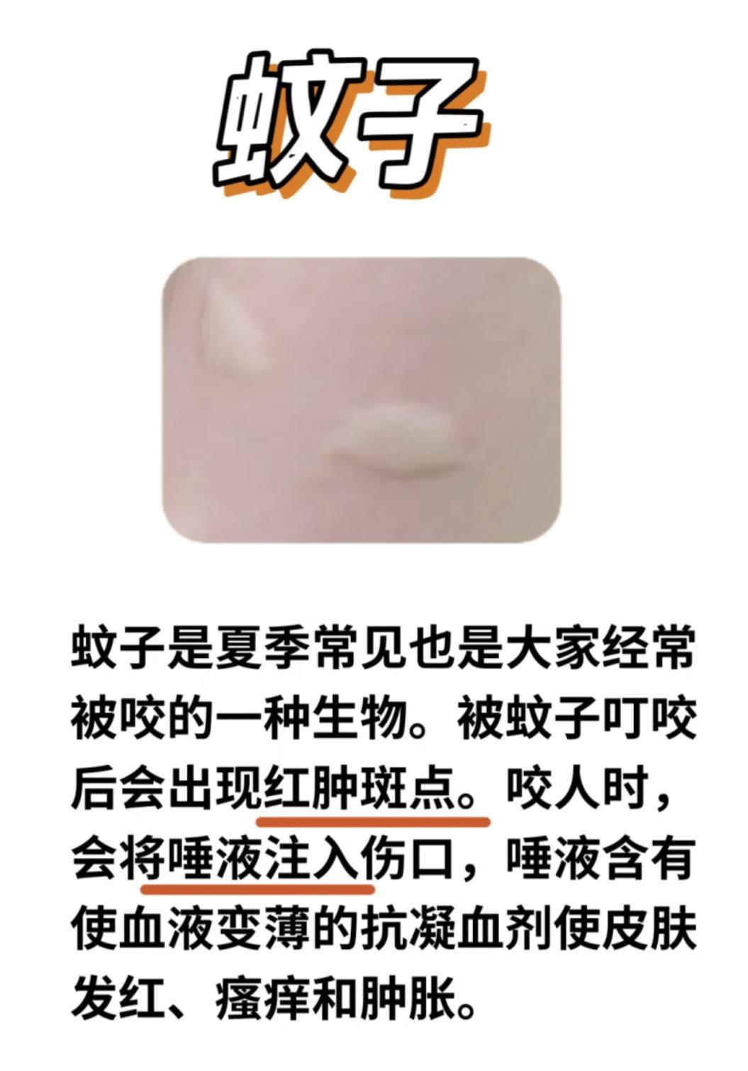 被虫子咬的图片