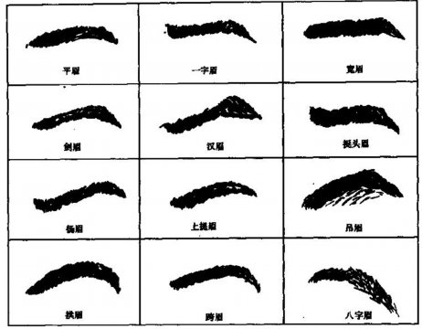 男人十二种眉毛图解