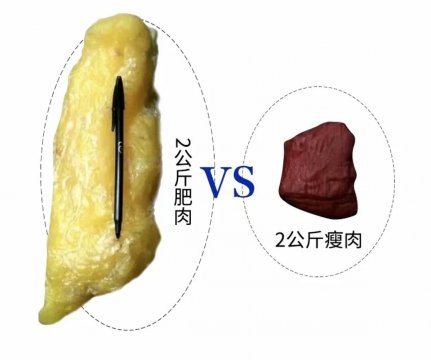 同样重量的肌肉和肥肉谁体积更大