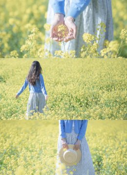 在油菜花田穿什么颜色的衣服拍照好看？