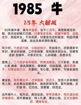 85年属牛40岁后走大运最好