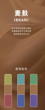 今年裤子流行色