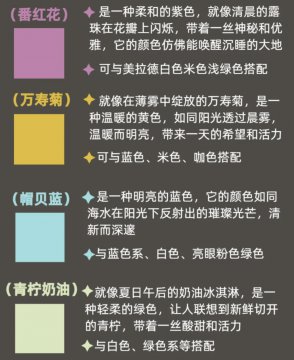 2025年流行色