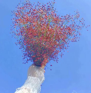 简约干净的微信头像