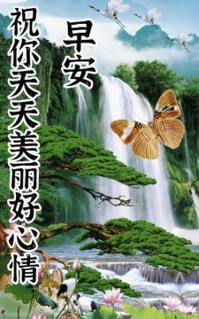 早上好风景照片