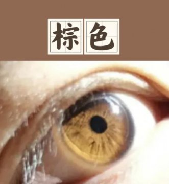 棕色瞳孔的人有什么说法