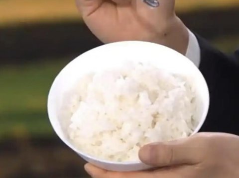 海水稻大米饭图片