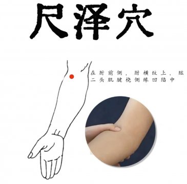 尺泽穴的准确位置