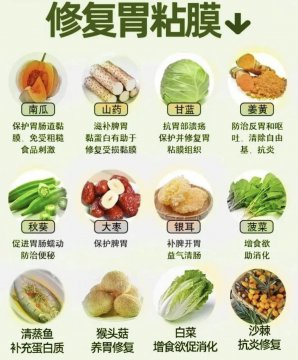 哪些食物适合修复胃粘膜