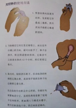月经杯3d模拟使用方法