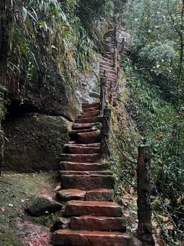 爱情天梯图片全景