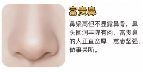 大富大贵的鼻子图片