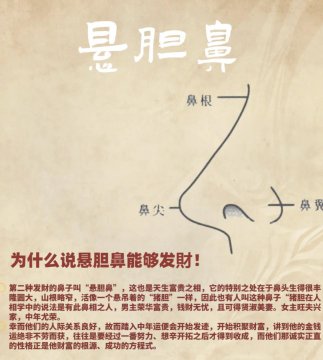 有财的鼻子图片