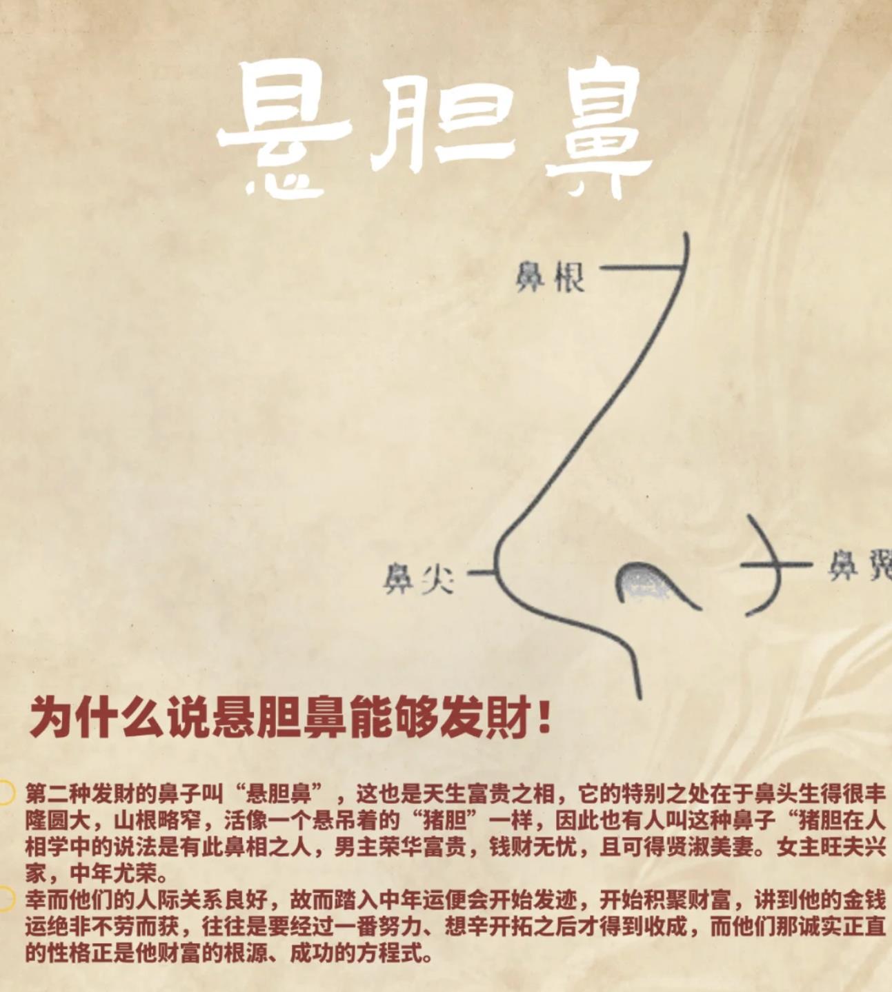 有财的鼻子图片
