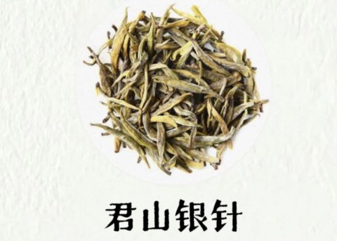君山银针茶叶多少钱一斤